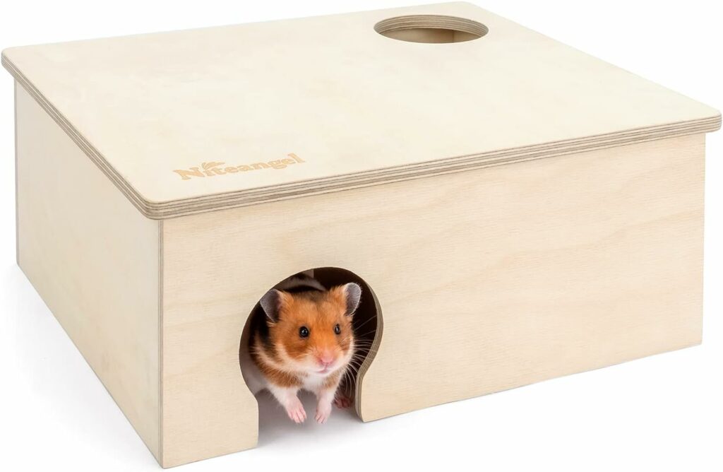 HamsterReview